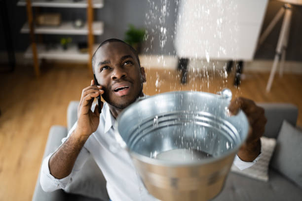 Best Carpet water damage restoration  in Mount Airy, GA