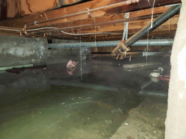 Best Water damage cleanup near me  in Mount Airy, GA