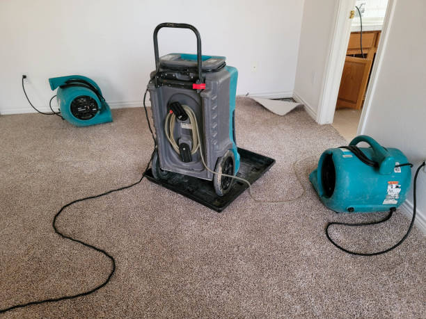 Best Emergency water damage restoration  in Mount Airy, GA