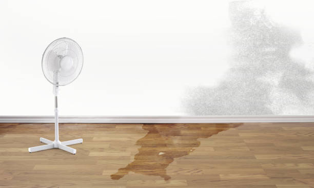 Best Sewage cleanup and water damage restoration  in Mount Airy, GA