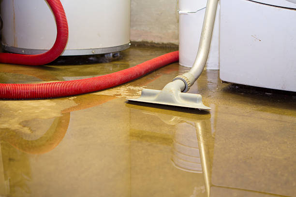 Carpet water damage restoration in GA