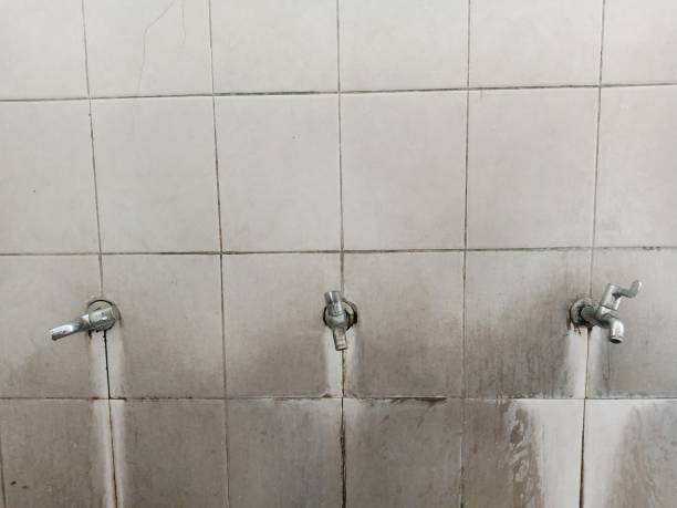 Best Local water damage restoration  in Mount Airy, GA