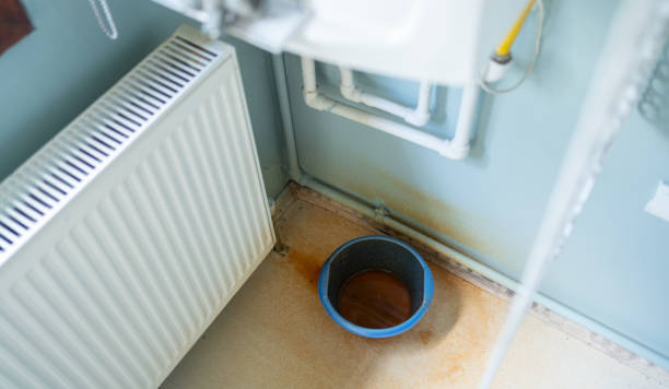 Best Water damage restoration near me  in Mount Airy, GA