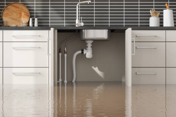 Best Water damage restoration near me  in Mount Airy, GA