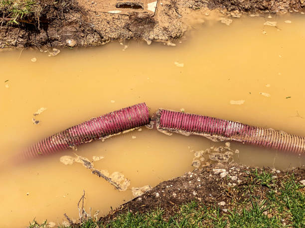 Best Sewage cleanup and water damage restoration  in Mount Airy, GA
