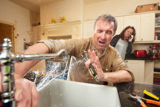 Best Water damage cleanup near me  in Mount Airy, GA